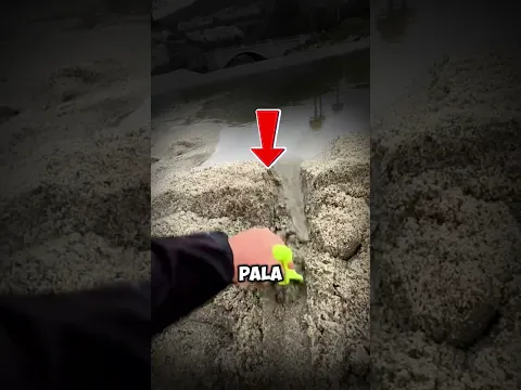 Abrió un pequeño canal en la arena y pasó ESTO 🌊