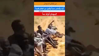 الدعم السريع السودان البرهان دارفور الفاشر تحت الحصار الفاشر تموت جوعا الفاشر 