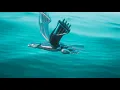 Shallou - Heartaches (MAKTIZ EDIT)