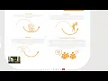 Systems Innovation Week 18 - Two Loops Model and animal welfare in food system
