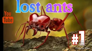 gameplay  the ants (ediça0)
