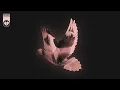 Download Lagu Noya Clarissa - Inikah Yang Kau Mau? (Arisu)