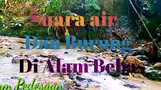 suara air dan binatang alam untuk relaksasi dan terapi