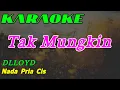 Download Lagu Tak Mungkin || Dlloyd || Karaoke || Nada Pria
