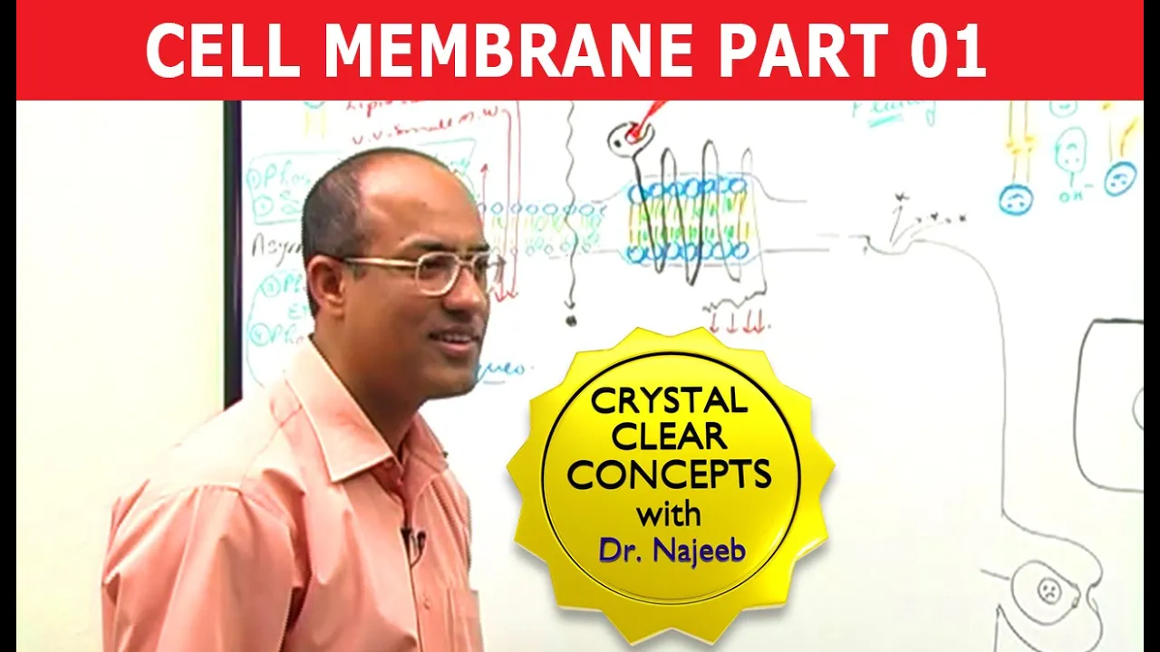 Cell Membrane Part 1/2