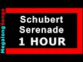 Schubert - Serenade (classical music) 🔴 [1 HOUR LOOP] ✔️