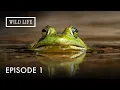 Colombia Where Oceans Andes Amazon Meet Destination Wild Wild Colombia Episode 1
