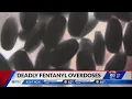 Coroner IU student s death caused by fentanyl