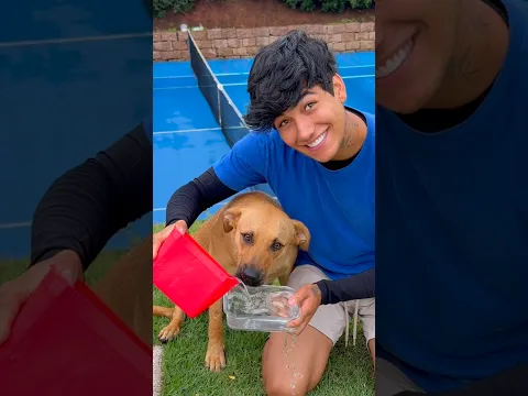 AMO MEU CACHORRO