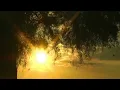 Justin Bell (Pillars of Eternity) — Twin Elms [Extended] (1 Hr.)