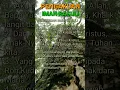 Download Lagu PENGAKUAN IMAN RASULI