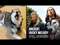Download Lagu The Kiffness x Haiku the Husky - Ancient Husky Melody (FULL VERSION)