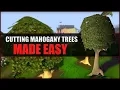 Quick Guide To Obtaining Mahogany Logs In OSRS
