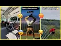 Download Lagu 🔥HUMOR VIRAL #82 🇲🇽 PURO HUMOR  🤣😏🥵🤙🏻 memes mexicanos