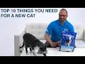Things You Need for a New Cat or Kitten PetSmart