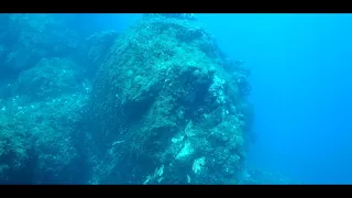 video_image