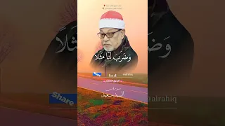 اولم ير الانسان الشيخ السيد سعيد 