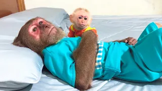CUTIS Wasn’t Feeling Well… BUEM Became His Little Comforter
