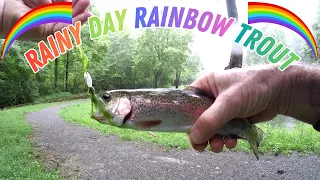 RAINY Day TROUT and Creek Chubs/ 2nd Trout FISHING Trip of the YEAR