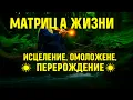 Download Lagu Матрица Жизни ☀️ Исцеление Омоложение и Перерождение