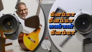  meenamma meenamma kangal meenamma