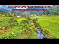 Download Lagu 🎼Musik Seruling dengan Burung dan Air | Musik Seruling Asli dengan Suara Air dan Kicauan Burung | Bansuri Dhun