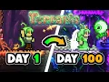 I Spent 100 Days In Terraria s ZENITH Seed