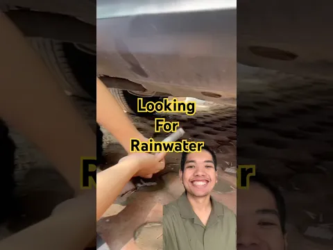 Looking for rainwater #viralvideos #experimnent #shorts