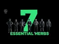 Herbamojo - 7 Essential Herbs to Support Male Stamina (5s)