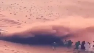 اشكالكم دي مستفزه دندنها