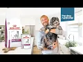 Royal Canin Renal Kidney Dog Food Review - The Dog Nutritionist