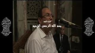                                               دندنها