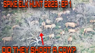 ELK HUNTING 2023 SPIKE ELK HUNT UTAH PUBLIC LAND HUNTING