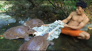 អណ្តើកសំបកទន់ និងបុរសព្រៃ