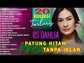 Lagu Iis Dahlia Album Platinum || Lagu Dangdut Original Paling Dicari || Payung Hitam