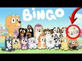 ALL BLUEY CHARACTERS Bingo s Class and new classmates too