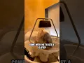 I tried Korea s viral stem cell hair spa