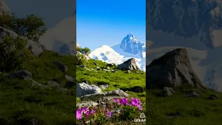 دعاء يارب فقد فسد الزمان نجني فقد عجز الطبيب داوني يارب بصوت محمد محمود الطبلاوي رحمه الله 