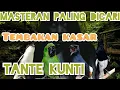 Masteran Kunti tembakan kasar!!! Suara Jernih!!!!Durasi panjang!!!