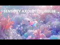 Sensory Axolotl Bubbles Calming Music for Classroom Focus Relaxing Ocean Sounds Autism Support