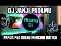 Download Lagu DJ PANDAINYA DIKAU MENCURI HATIKU - DJ JANJI PADAMU REMIX FULL BASS TERBARU 2024