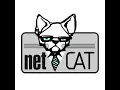 Ten Minute Tutorials Netcat Basics