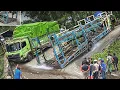 Download Lagu KESALAHAN FATAL !!! DRAMA TRUK CEPER TERSANGKUT TOTAL, Akses Jalan di Sitinjau Lauik Lumpuh Total Download Lagu KESALAHAN FATAL !!! DRAMA TRUK CEPER TERSANGKUT TOTAL, Akses Jalan di Sitinjau Lauik Lumpuh Total