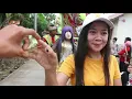 Download Lagu CINTA BAYANGAN // SINGA DANGDUT PUTRA GENADES// PERNIKAHAN /TUTI \u0026 TOPAN /KAMALSARI/15-11-2021