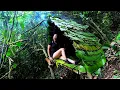 Lagu Banana Leaf Shelter for Effective Rain Protection