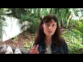 Download Lagu SLE criteria, guidelines and approach to refractory patients