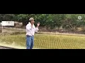 Download Lagu Part 2 parodi  cover lagu buyut jawa versi wa kancil 🙌