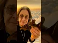 Download Lagu Ozzy Osbourne makes peace with the bat in heaven #ozzyosbourne