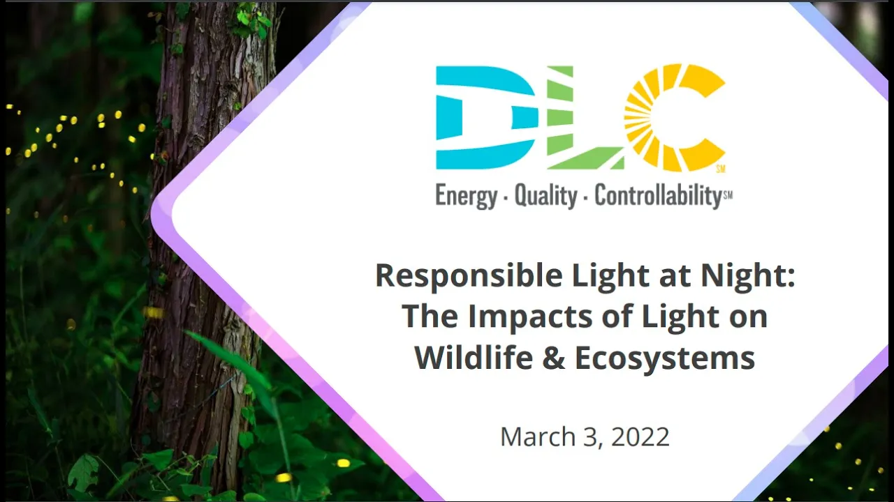Responsible Lighting at Night: The Impacts of Light on Wildlife & Ecosystems