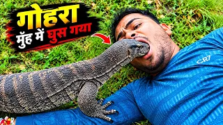 monitor lizard suraj_kushwaha 